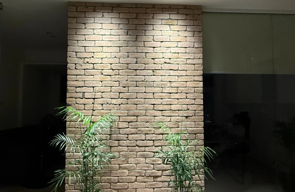 Praxis Construction Office